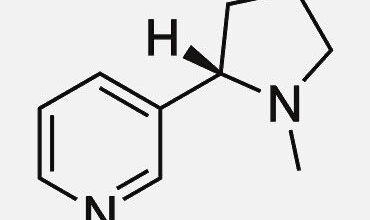 Nicotine Salts
