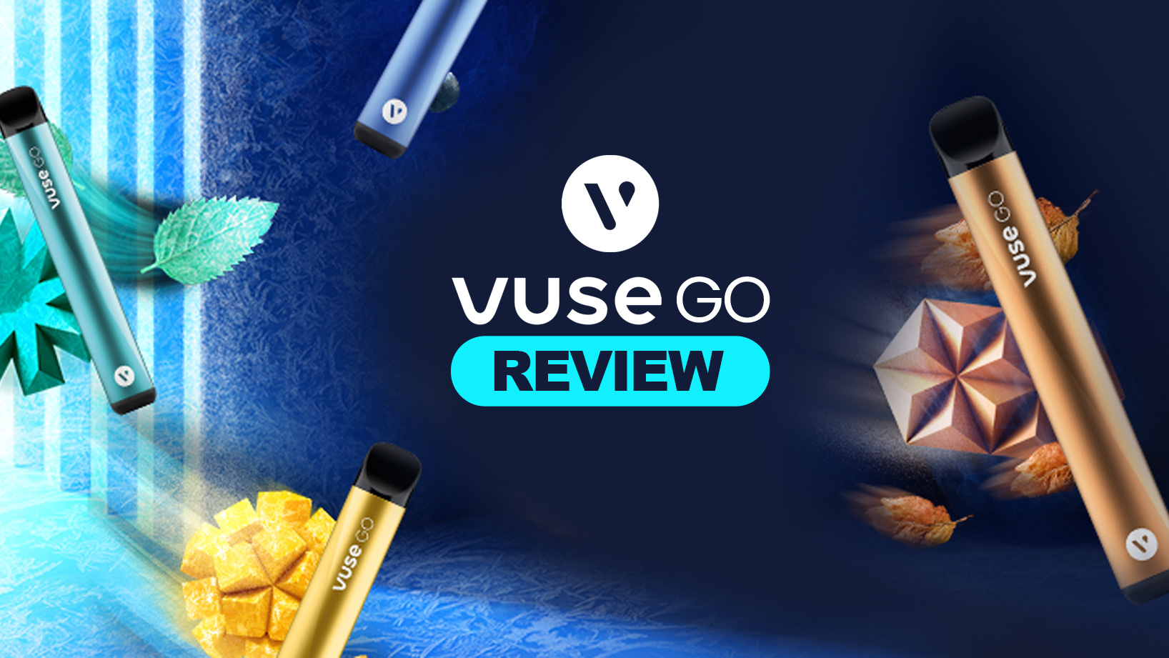 vuse go review blog