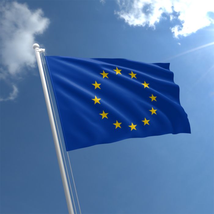 european union flag std 2