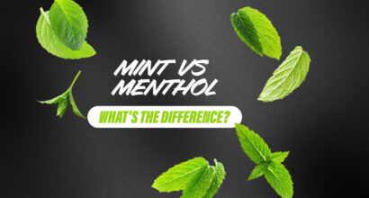 mint vs menthol whats the difference