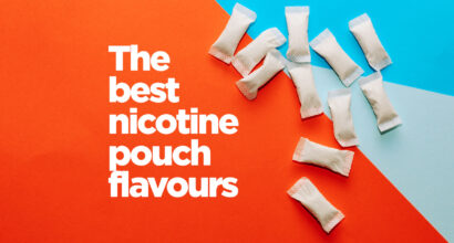 the best nicotine pouch flavours