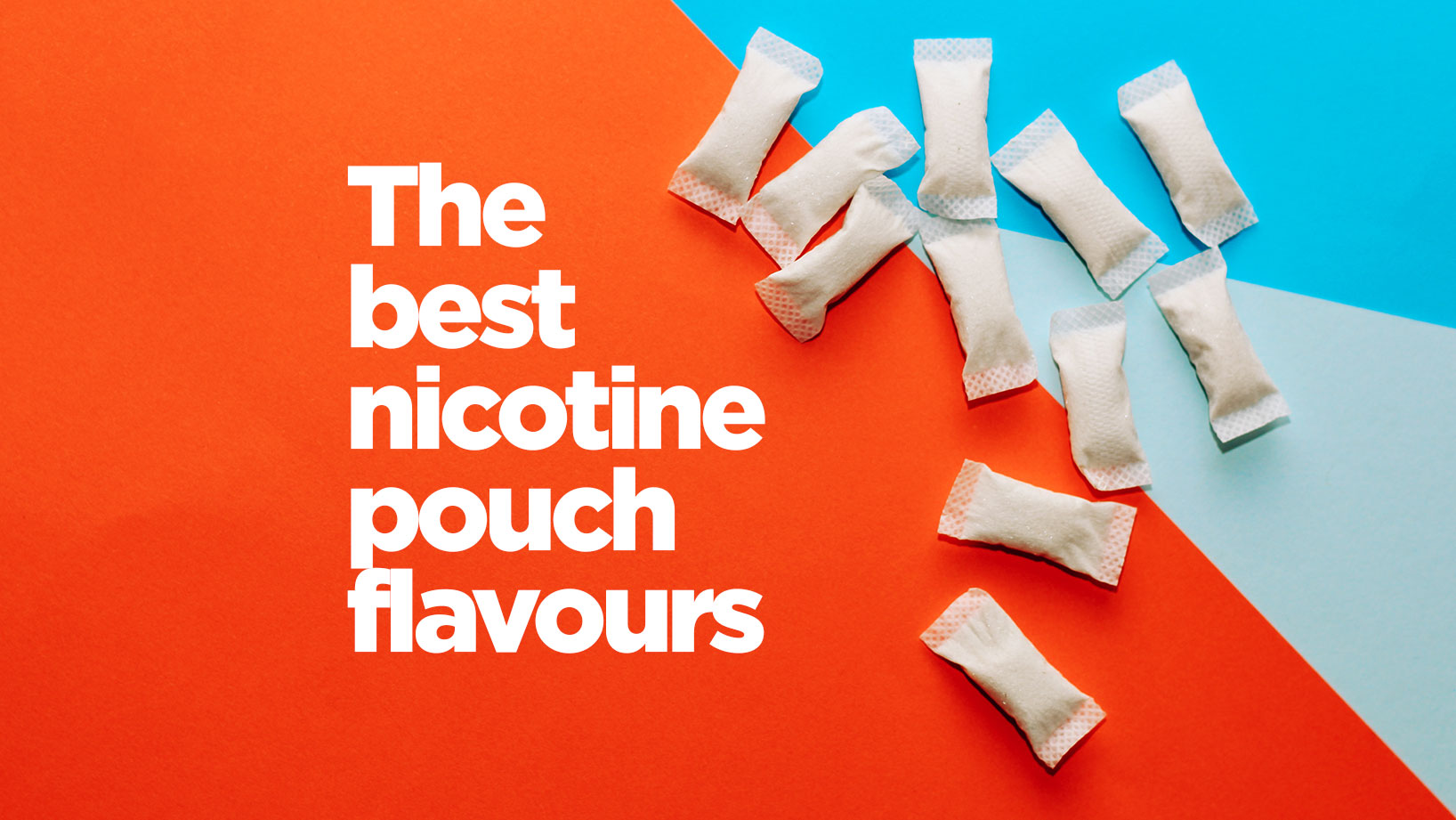 the best nicotine pouch flavours