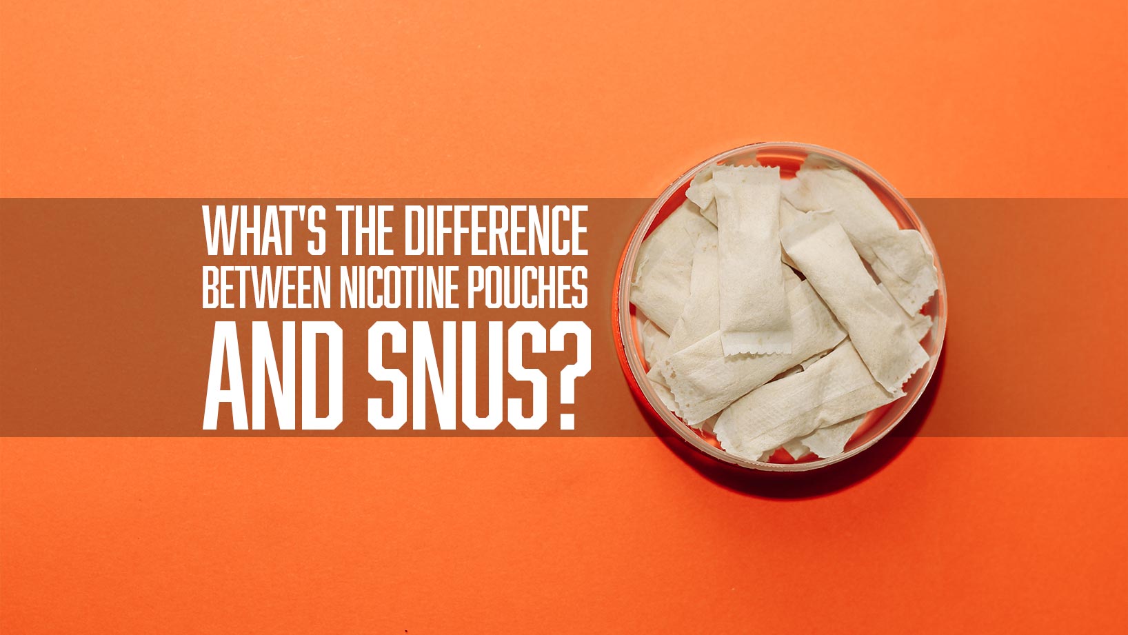 difference between nicotine pouches and snus