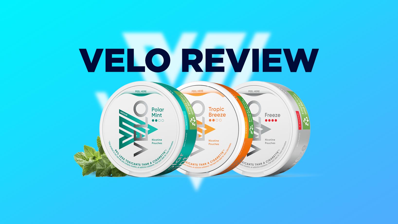velo reciew