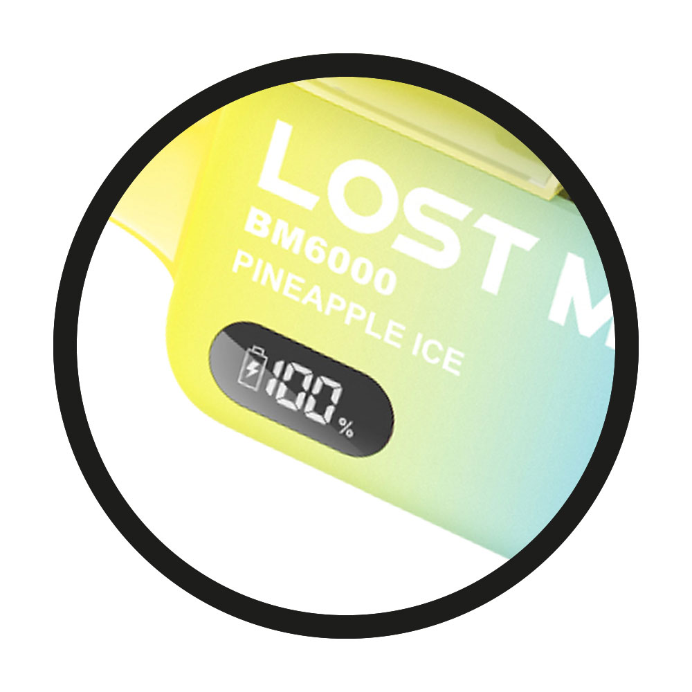Lost Mary BM6000 Feature OLED Display