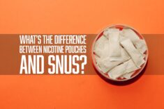 difference between nicotine pouches and snus