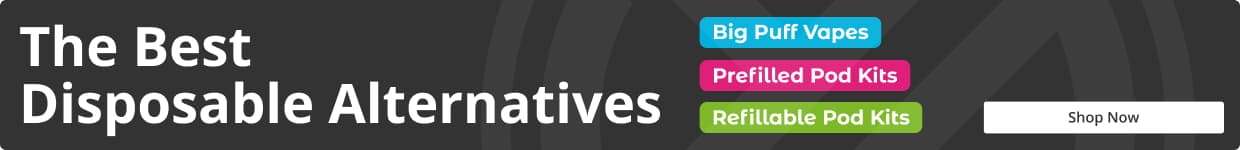 Best Disposable Alternatives